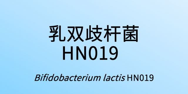 第0期:乳双歧杆菌hn019
